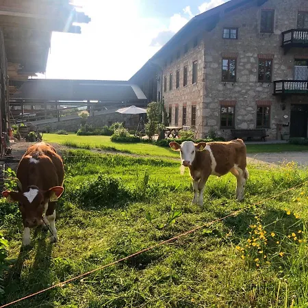 Lägenhet Staudingerhof *