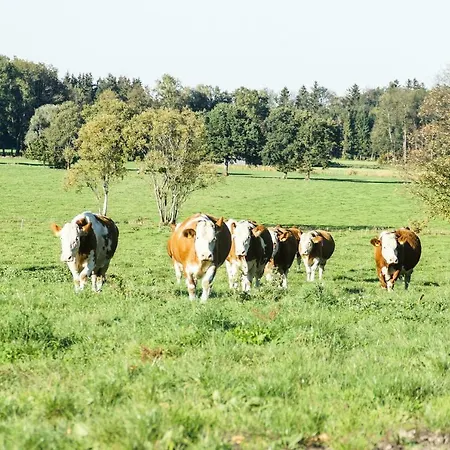 Staudingerhof Staudach-Egerndach