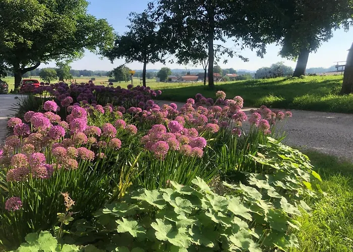 Staudingerhof Lägenhet *